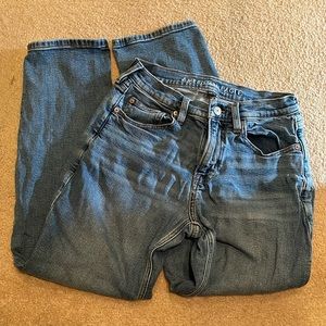American Eagle 90s Straight Jeans Size 2 Short